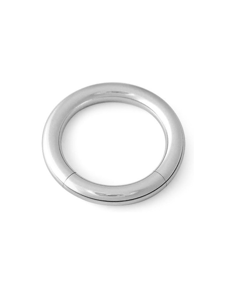 316L Surgical Steel Segment Captive Ring CBR 6g 0.5 Inches $13.72 Body Jewelry