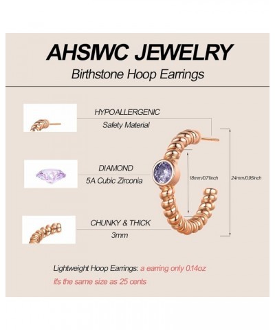 Birthstone Gold Hoop Earrings for Women, Rose Gold Platead Open Twisted Rope Round Simulated Solitaire Diamond Earrings Hoops...