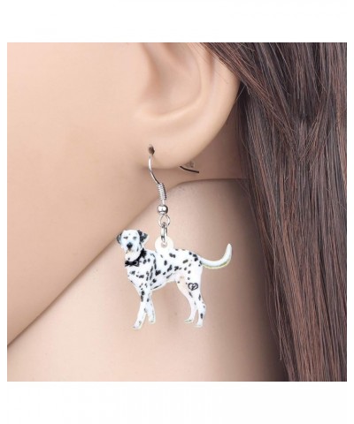 Acrylic Novelty Spot Dalmatian Dog Earrings Lovely Pets Drop Dangle Jewelry for Women Teens Girls Birthday Gifts Black and Wh...