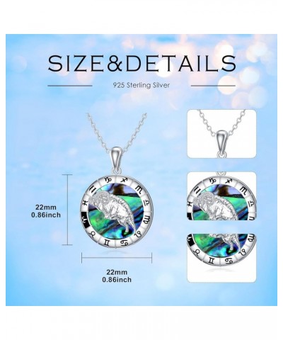 Zodiac Necklace 925 Sterlign Silver Constellation Pendant Astrology Horoscope Zodiac Sign Jewelry Christmas Birthday Gifts fo...