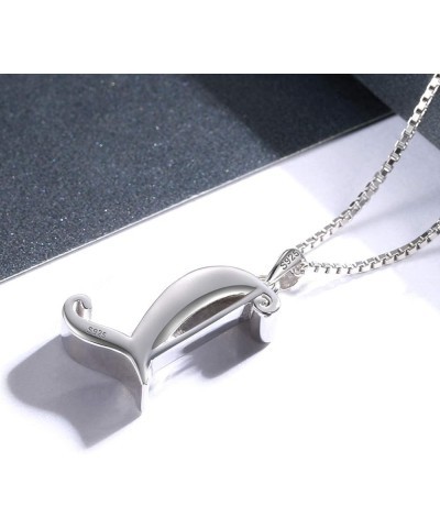 Initial Letter Urn Necklace for Women: 925 Sterling Silver Human Ashes Holder Pendant Keepsake Memorial Urn Necklace Crematio...