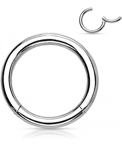 Pair of 316L Surgical Steel Hinged Segment WildKlass Rings 18g 10mm Silver $6.06 Body Jewelry