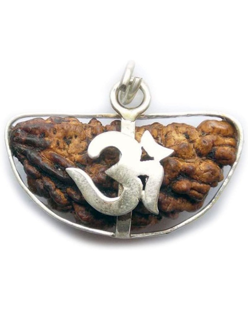 Choose Your Original Lab Certified Rudraksha 1 To 13 Mukhi Ganesha Gauri Shankar Silver Plated Pendant Astrological Shiva Jew...