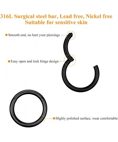 4G 6G 8G 10G 12G Clicker Rings 316L Surgical Steel Hinged Segment Hoop for Septum and Cartilage Earlobe Piercings, Diameter 1...