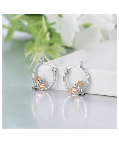 Axolotl/Corgi/Koala/Dolphin/Fox/Panda/Moth/Pig/Butterfly/Highland Cow Women's Hoop Sterling Silver Earrings, Moonstone Earrin...