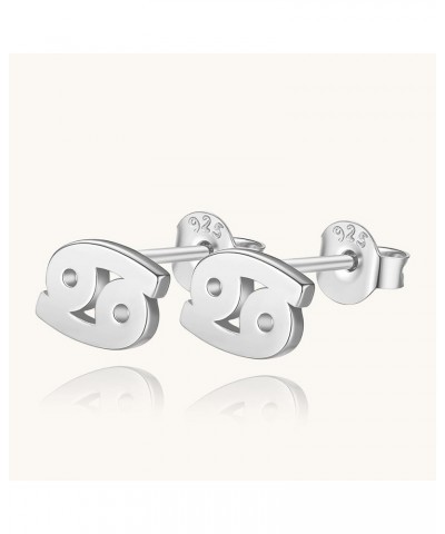 925 Sterling Silver Horoscope Zodiac 12 Constellation Astrology Jewelry Silver Cancer Sterling Silver $9.63 Earrings