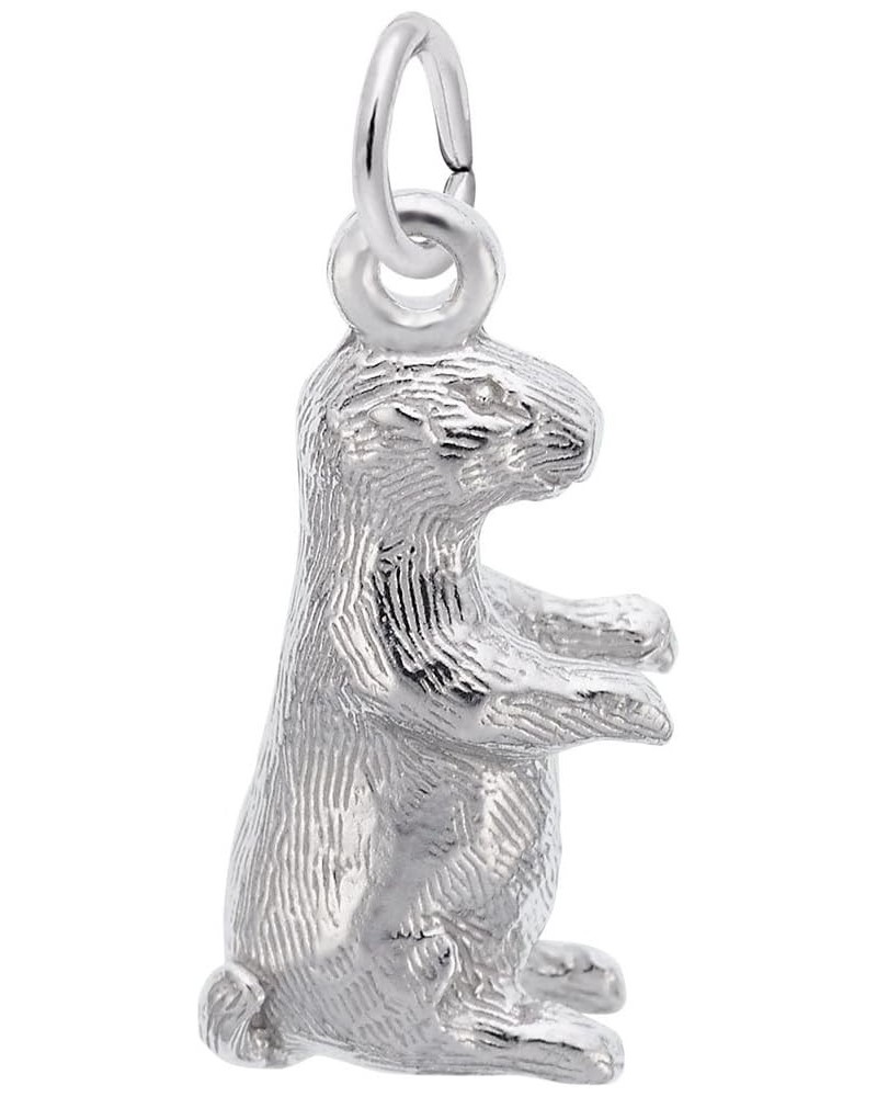 Groundhog Charm, Charms for Bracelets and Necklaces White Gold $24.27 Bracelets