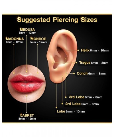 2PCS Titanium G23 Black Anodized Titanium G23 Labret 16g 3mm Ball Monroe Tragus Cartilage Earrings Piercing Jewelry Pick Size...