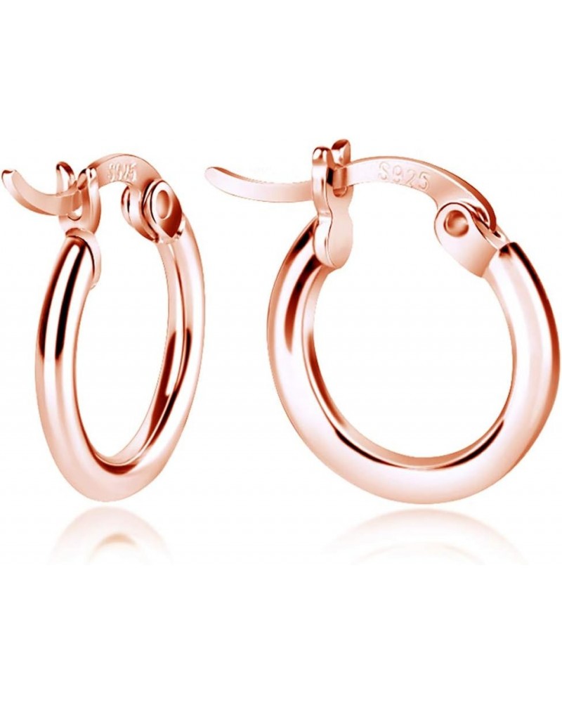 Sterling Silver Hoop Earrings, Small Clasp Hoop Earrings in Gold, Rose Gold, Silver for Women Girls Rose Gold-20mm 4/5 $10.63...