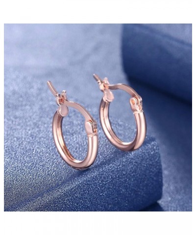 Sterling Silver Hoop Earrings, Small Clasp Hoop Earrings in Gold, Rose Gold, Silver for Women Girls Rose Gold-20mm 4/5 $10.63...