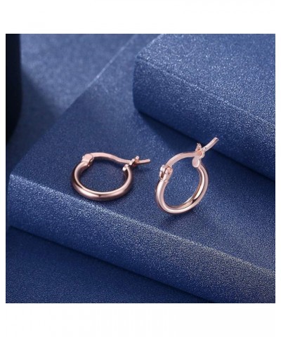 Sterling Silver Hoop Earrings, Small Clasp Hoop Earrings in Gold, Rose Gold, Silver for Women Girls Rose Gold-20mm 4/5 $10.63...