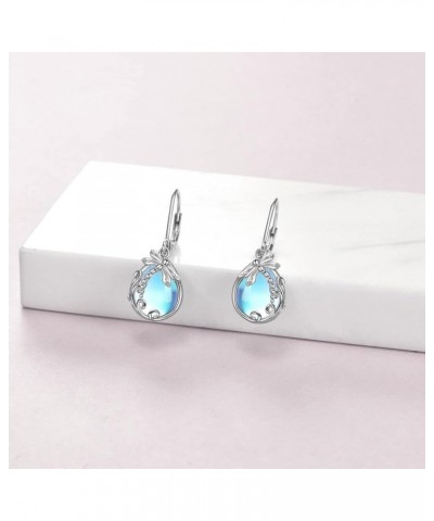 Sterling Silver Leverback Earrings for Women, Hypoallergenic Moonstone Crystal Dangle Earring Jewelry Gift Christmas Holiday ...