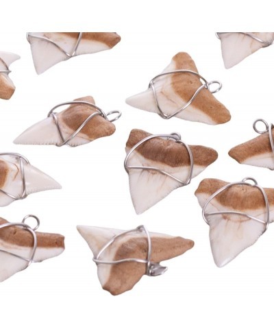 Shark Tooth on Coconut Shell Beads Necklace (18" 2U) BN FP $10.04 Necklaces