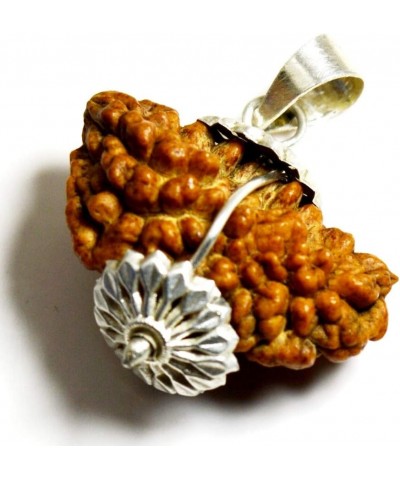 Choose Your Original Lab Certified Nepali Rudraksha 1 To 13 Mukhi Ganesha Gauri Shankar 925 Sterling Silver Pendant Astrology...