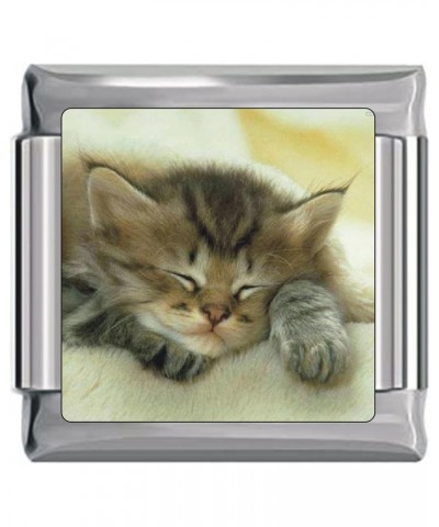 Cute Kitten Sleeping Italian Charm $7.74 Bracelets