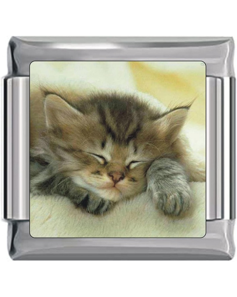 Cute Kitten Sleeping Italian Charm $7.74 Bracelets