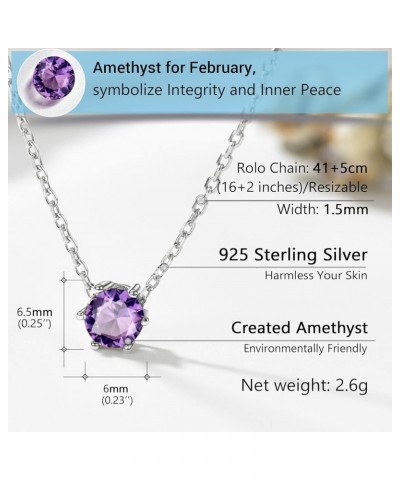 925 Sterling Silver Dainty Necklace for Women Teen Girls, Gorgeous Cubic Zirconia Birthstone Necklace Jan - Dec Available, 16...