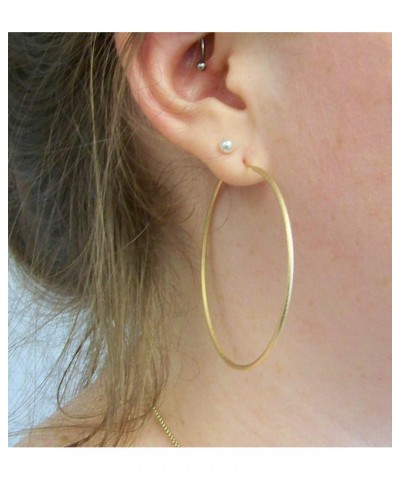 Lisa Featherweight Hoop Earrings in Gold Plated $24.30 Earrings