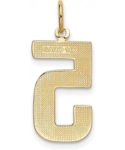 10K Yellow Gold Casted Large Polished Number Charm Pendant (Length 25mm Width 10 mm) Number 5 $68.68 Pendants