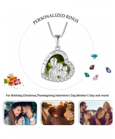 Family Necklace 925 Sterling Silver Love Heart Birthstone Necklace Always I Love You Forever Gifts for Sister from Brother Ne...